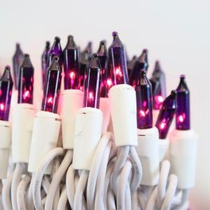 100-bulb Purple Mini Lights, 2.5" Spacing, White Wire Geniue Stockist Cheap Pice