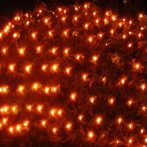 100-light M5 Red LED Net Lights, Green Wire Buy Cheap Order