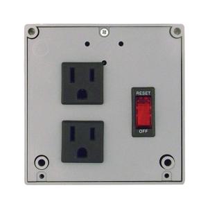 PSPT2RB10: Enclosed Power Control Center, 10 Amp Switch/Breaker, 120 Vac, 2 Outlets Outlet 2025 New