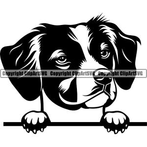 Peeking Brittany Spaniel Breed Dog Puppy Pup Head Purebred Pedigree Canine K-9 K9 Animal Portrait Doggy Vector Clipart SVG Cheap Very Cheap