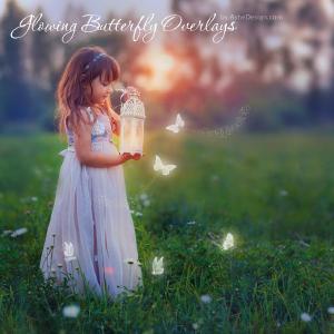 Designer Gems - Glowing Butterfly Overlays For Nice Cheap Online