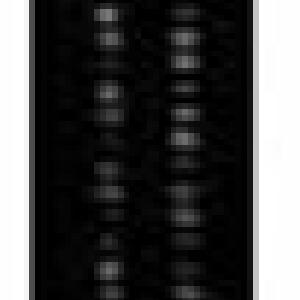 Prime Line GD12278 Garage Door Spring With Spring Containment Safety Cable 28" Cheapest Online