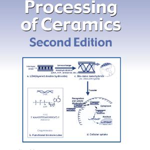 Chemical Processing of Ceramics Clearance Classic
