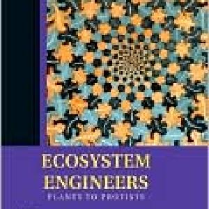 Ecosystem Engineers Sale Recommend