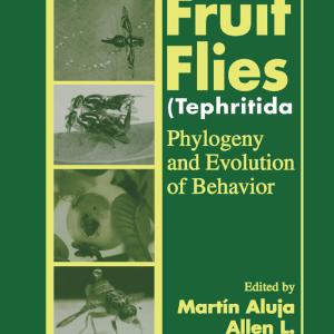 Fruit Flies (Tephritidae) - Paperback / softback Lowest Pice Cheap Pice