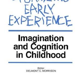 Organizing Early Experience - Paperback / softback Low Pice Cheap Online