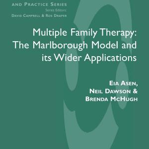Multiple Family Therapy - Hardback Deals