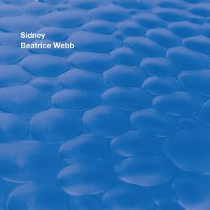 English Poor Law Policy - Paperback / softback For Sale