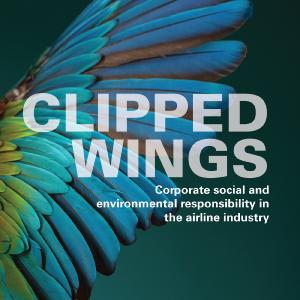 Clipped Wings - Paperback / softback Cheap Countdown Package
