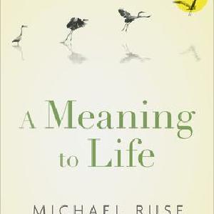 Meaning to Life, A Online Online Cheap Online