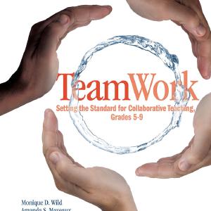TeamWork - Paperback / softback Free Shipping Low Pice Fee Shipping