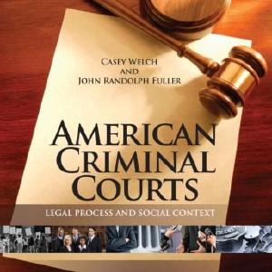 American Criminal Courts - Hardback How Much Sale Online