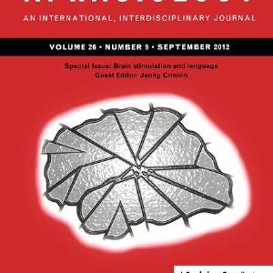 Brain Stimulation and Language - Hardback Sale Amazon