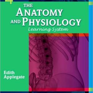 The Anatomy and Physiology Lea Cheap Sale Cheap