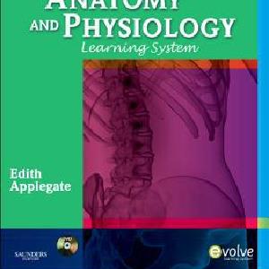 The Anatomy and Physiology Learning System - Text and Study     Guide Package Cheap Sale 2025