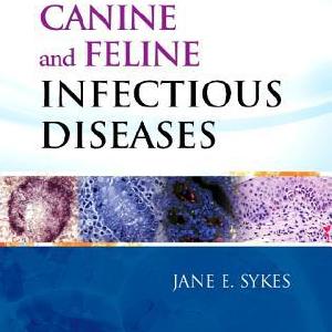 Canine and Feline Infectious Diseases 1e Cheap Sale 2025 Unisex
