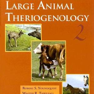 Current Therapy in Large Animal Theriogenology Eastbay Cheap Online