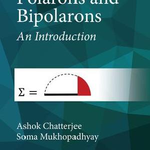 Polarons and Bipolarons Outlet With Credit Card