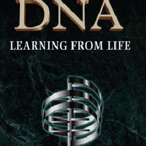 Corporate DNA - Paperback / softback Hot Sale Online