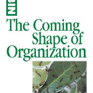 Coming Shape of Organization - Paperback / softback Outlet With Credit Card