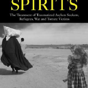 Broken Spirits - Hardback The Cheapest