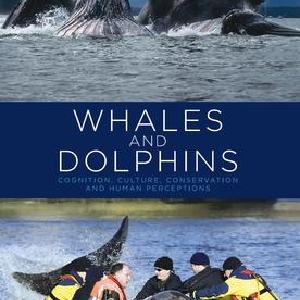 Whales and Dolphins - Hardback Original Cheap Pice