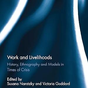 Work and Livelihoods - Paperback / softback Nicekicks