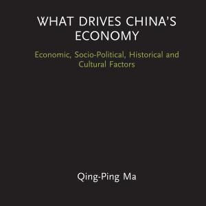 What Drives Chinas Economy - Hardback Discount Cheapest Pice