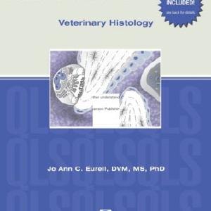 Histology - Paperback / softback Sale Fake