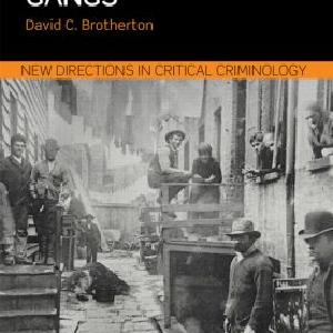 Youth Street Gangs - Paperback / softback Cheap Sale Buy