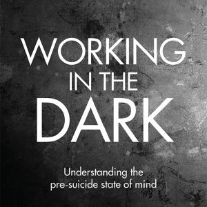 Working in the Dark - Paperback / softback Wide Range Of Cheap Pice