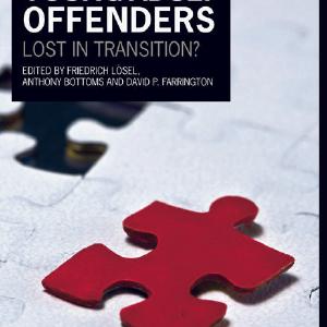 Young Adult Offenders - Paperback / softback Best Place For Sale