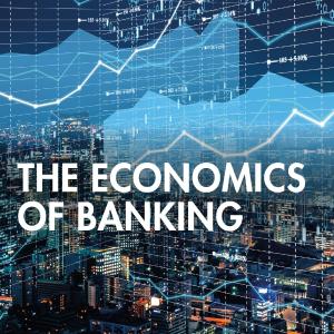 Economics of Banking - Paperback / softback Cheapest Pice For Sale