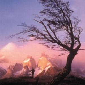 Mountain Environments - Paperback / softback For Nice Cheap Price