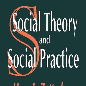 Social Theory and Social Practice - Hardback Outlet New