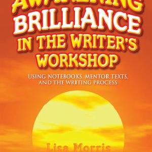 Awakening Brilliance in the Writer's Workshop - Hardback Largest Supplier For Sale