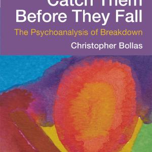 Catch Them Before They Fall: The Psychoanalysis of Breakdown - Paperback / softback Best Place To Buy