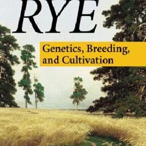 Rye - Hardback Footlocker Finishline Online