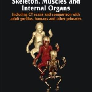 Baby Gorilla - Hardback Pay With Paypal