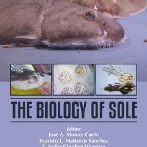 Biology of Sole - Hardback Sale Professional