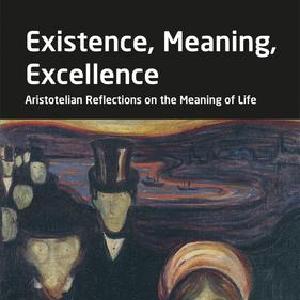 Existence, Meaning, Excellence Fast Delivery Cheap Online