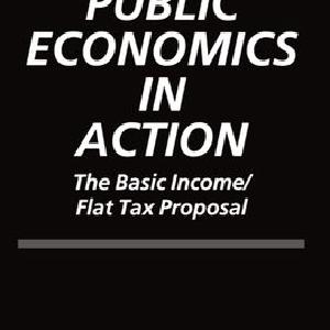 Public Economics in Action For Sale Online
