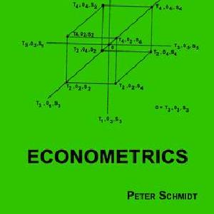 Econometrics - Hardback Discount Tumblr
