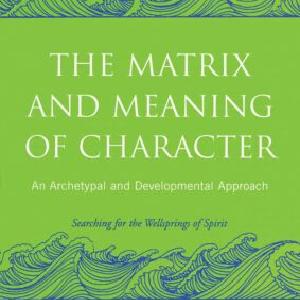 Matrix and Meaning of Character Discount Classic