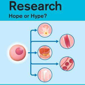 Stem Cell Research - Paperback / softback Discount Countdown Package