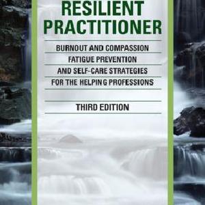 Resilient Practitioner - Paperback / softback Clearance Largest Supplier