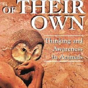 Minds Of Their Own - Paperback / softback Cheap Amazon