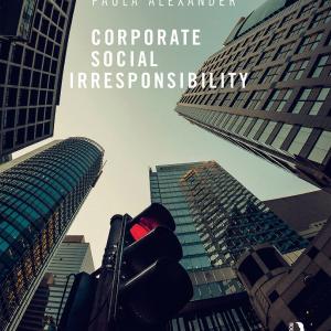 Corporate Social Irresponsibility - Paperback / softback Authentic For Sale