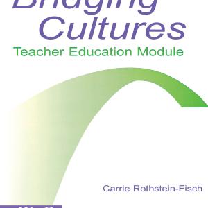 Bridging Cultures - Paperback / softback Free Shipping Low Shipping