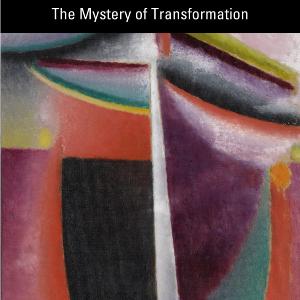 Trauma and Beyond - Paperback / softback How Much Cheap Online